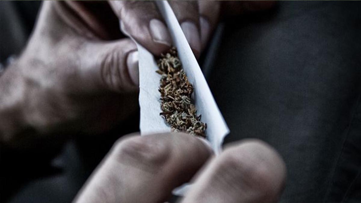 شركة تبحث عن موظف لتدخين الحشيش مقابل 3 الاف دولار شهرياً  ..  تفاصيل