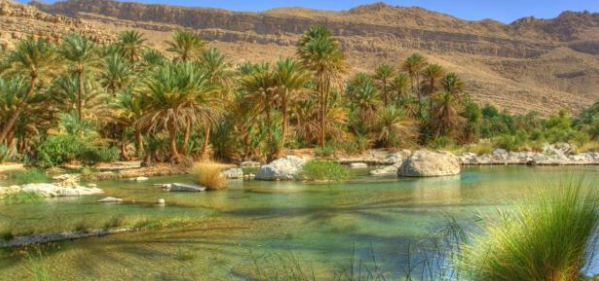 السفر إلى صلالة
