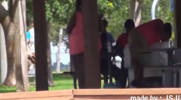 هذي اقوى كاميرا خفية يحول كلبه الى اسد واركض