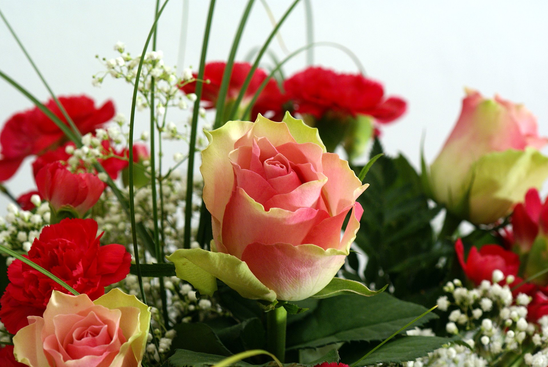 Красивой женщине красивые цветы картинки. Красивые цветы. Цветы для дамы. Прекрасные цветы для прекрасной женщины. Красивый букет роз с днем рождения.
