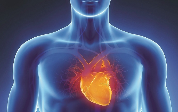 لماذا ارتفعت الوفيات الناجمة عن أمراض القلب بشكل مثير للقلق بعد "كوفيد-19"؟