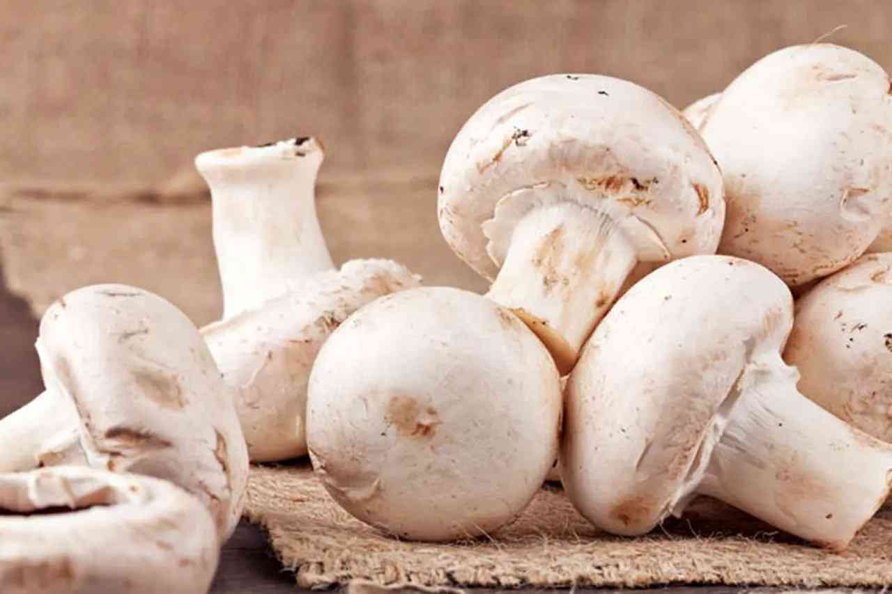 تأثير مذهل على صحتك لتناول الفطر يومياً