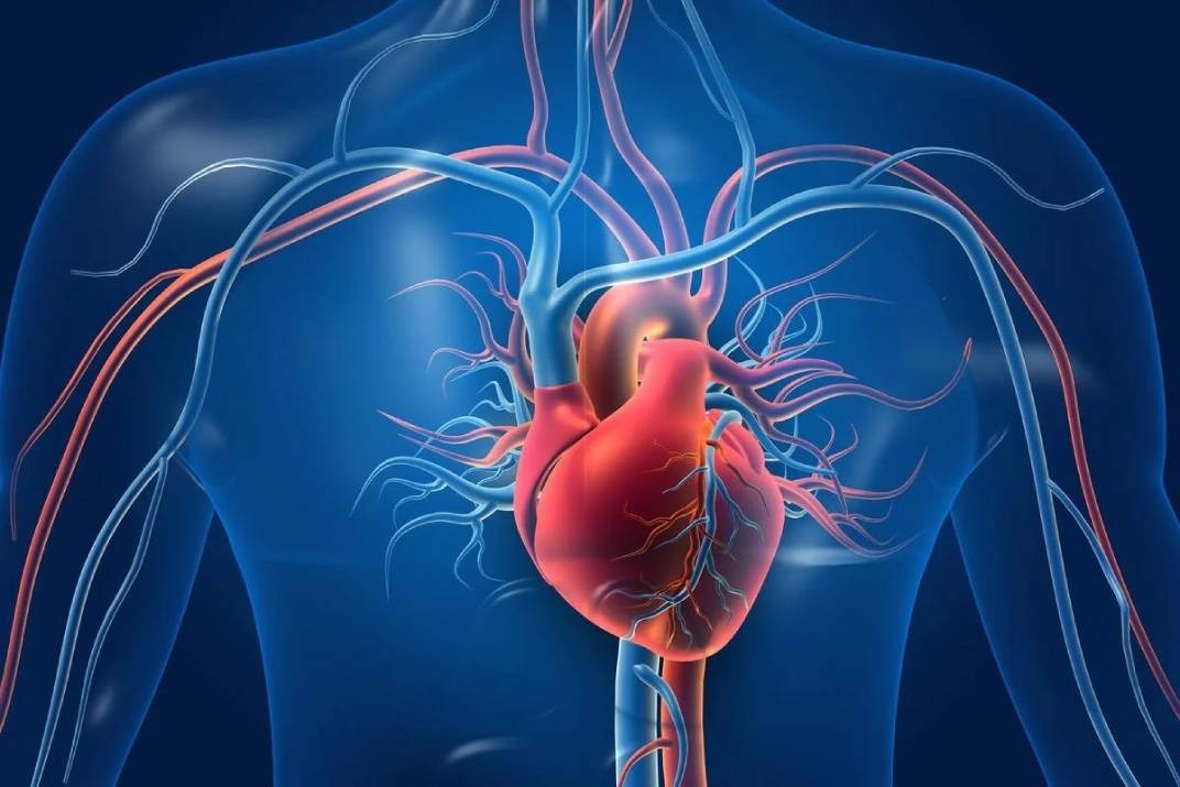 أمراض القلب ..  القاتل الأول للأردنيين و29% من الوفيات مرتبطة بها