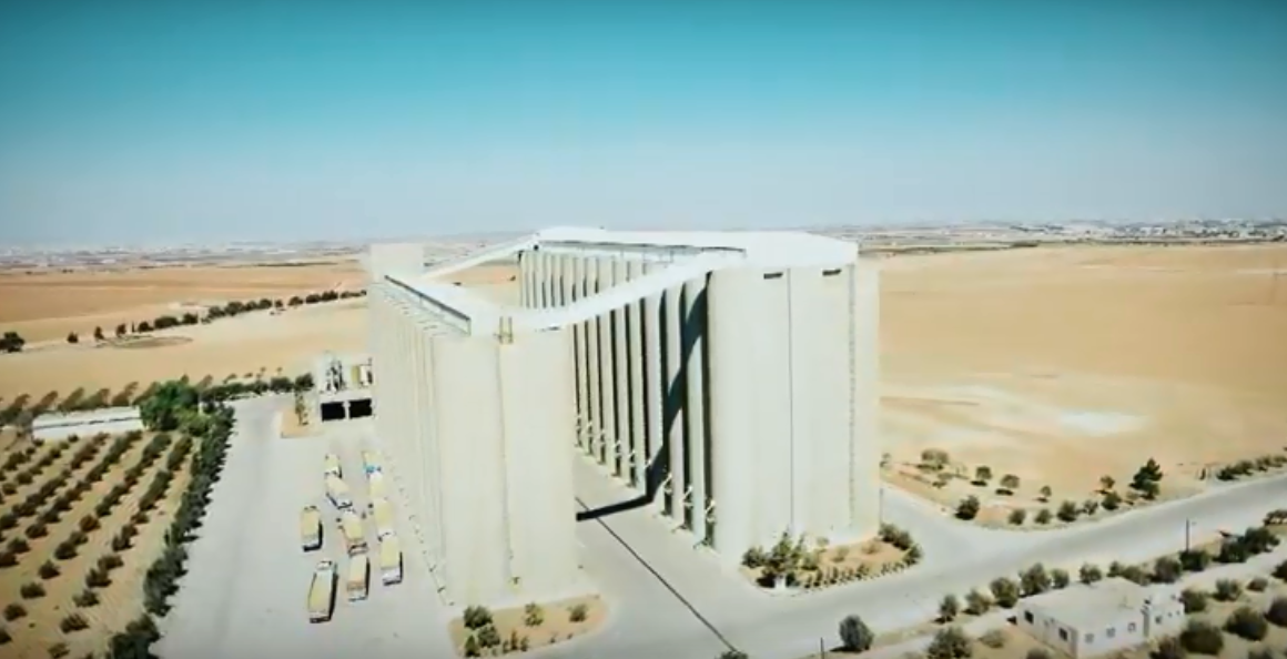 بالفيديو : الاردنيون استهلكوا خلال سنوات قمح بعضه سام والاخر يحتوي اعفان