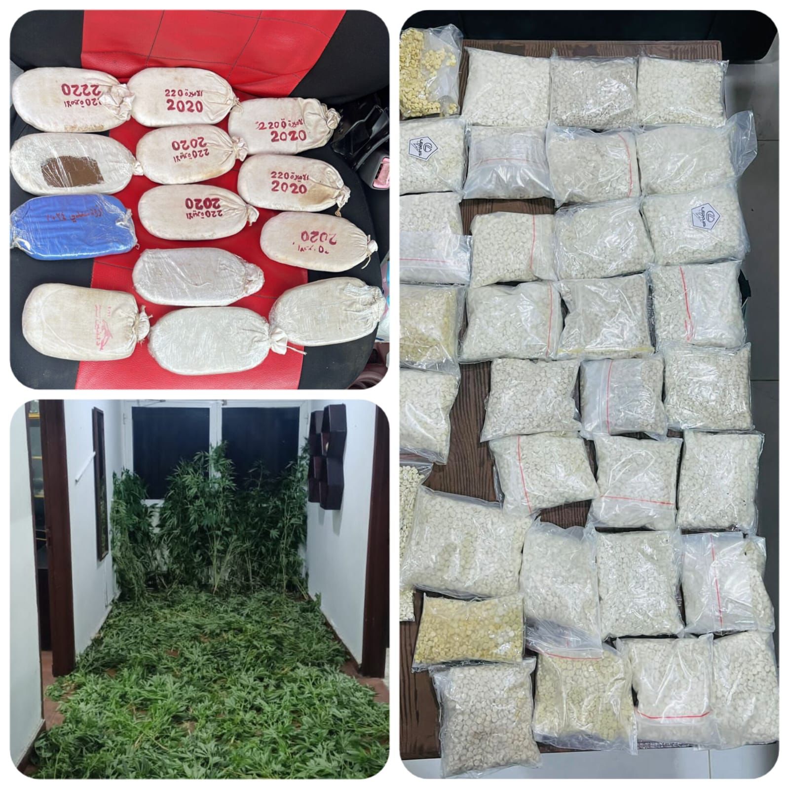 القبض على 5 مطلوبين وتجّار للمخدرات أحدهم مصنف بالخطر في حملة أمنيّة بالبادية الوسطى - صور 