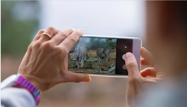 من أجل الخصوصية والسلامة ..  وجهات سياحية عالمية ترفع شعار "لا هواتف ..  لا إزعاج"