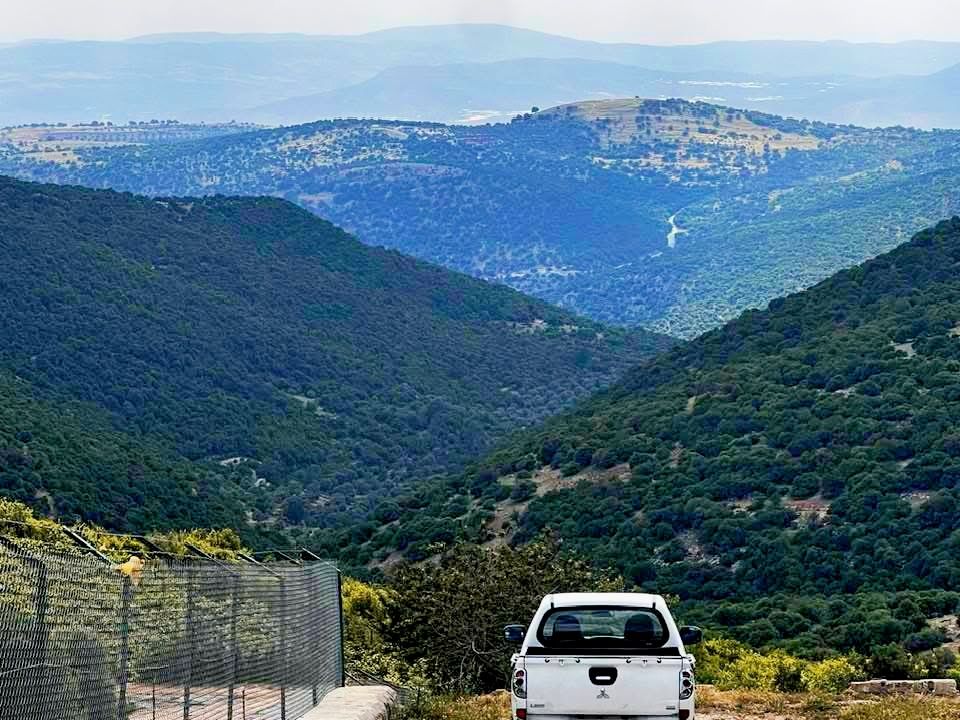 الأرصاد: نيسان 2026 يخالف التوقعات ..  أمطار أعلى وبرودة نسبية في معظم المناطق