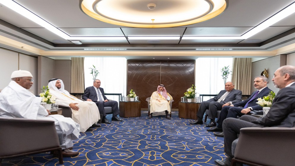 اللجنة الوزارية المشتركة تؤكد رفضها أي عملية عسكرية في مدينة رفح 