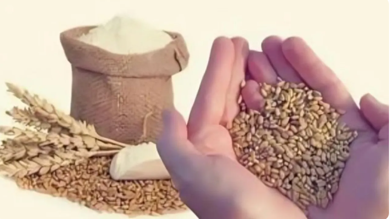 متى تخرج زكاة الفطر؟ وحكم تقديمها قبل العيد