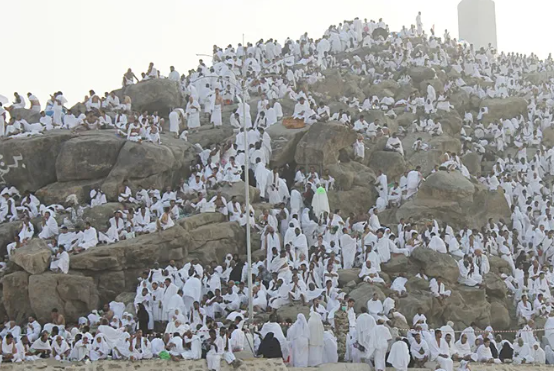 مع اقتراب عيد الأضحى  ..  " الافتاء الأردنية" توضح لسرايا حكم صيام يوم عرفة 
