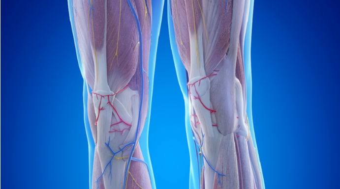 عامل خفي في العضلات قد يزيد خطر فقدان الأطراف