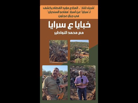 "شريك للنار" .. المزارع مؤيد القضاه يكشف لـ"سرايا" عن أسرار "مفاحم السنديان" في جبال عجلون