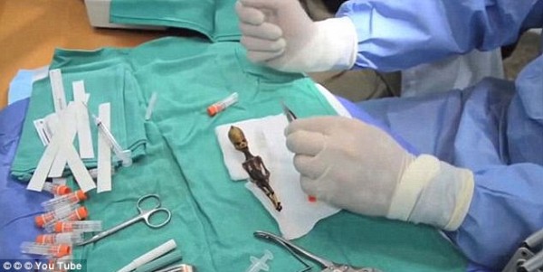 بالصور  ..  هيكل عظمي غامض طوله (15) سنتيمترًا يُثير حيرة العلماء  .. "تفاصيل"