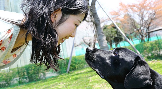 دراسة: علاقة هرمونية تربط بين الكلاب وأصحابها