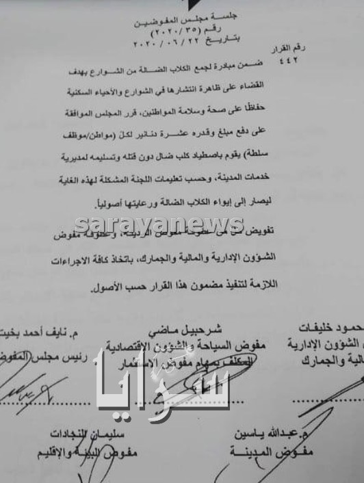 سلطة العقبة: 10 دنانير لكل مواطن يقوم باصطياد كلب ضال دون قتله  ..  وثيقة