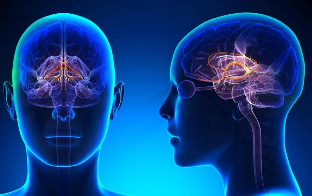 هل تؤثر حبوب منع الحمل على الدماغ؟