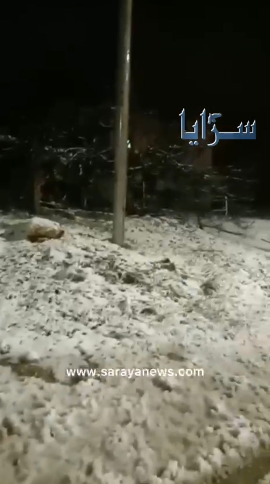 بالفيديو  : بدء تساقط الثلوج في عبين ورأس منيف 