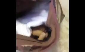 الأغوار الشمالية: تفاصيل جريمة بشعة ضحيتها طفل لقيط ..  انجبته والقاته في قناة الملك عبدالله
