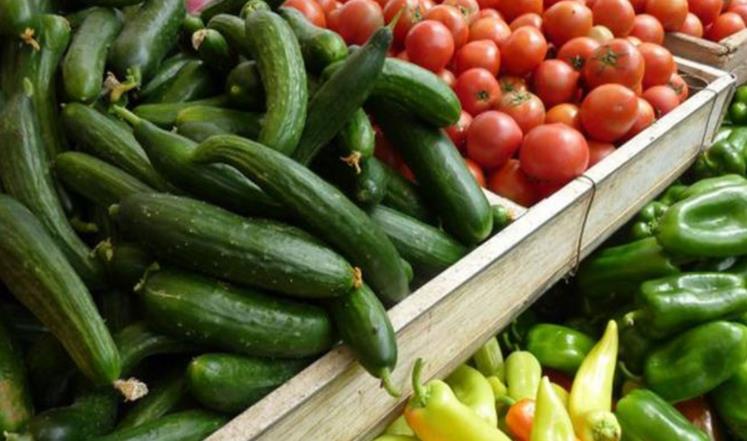 "الزراعة": الصادرات للأسواق الخليجية وصلت الف طن اليوم