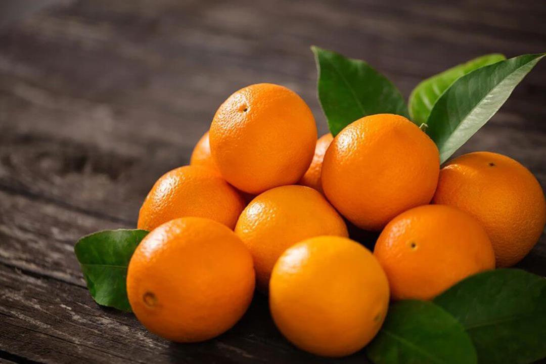 تفسير حلم رؤية البرتقال أو تقشير البرتقال في المنام لابن سيرين