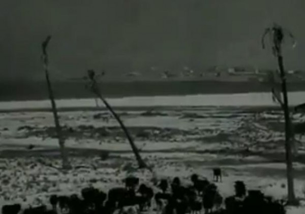 بالفيديو .. لقطات نادرة للحياة الفلسطينية عام 1932