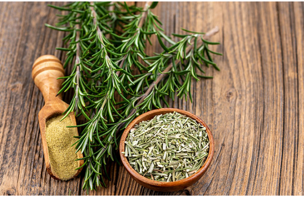 الروزميري ..  اكليل الجبل نبات مفيد جداً وذو فوائد صحية عديدة