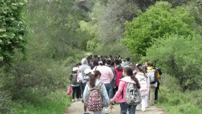 ضوابط صارمة للرحلات المدرسية ..  كاميرات وتتبع للحافلات ومنع أماكن خطرة