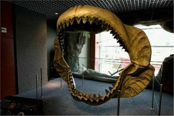 «انقرضت» ..  حيوانات مرعبة منذ قديم الزمان ..  «سميلودون» الأبرز