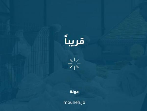 الحكومة تطلق تطبيق مونة الأربعاء