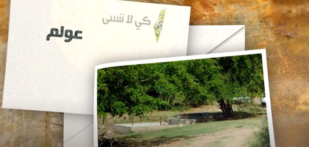 بالفيديو ..  تعرفوا على قرية عولم المهجرة ( طبريا )