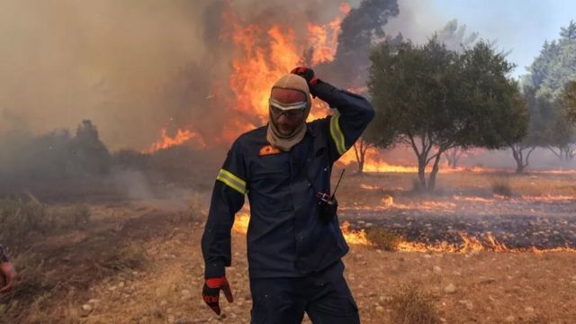 حريق هائل يجتاح غابات بتونس
