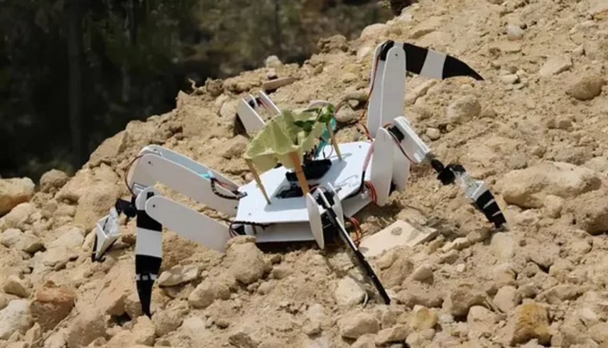 طالبان يبتكران روبوتاً عنكبوتياً لإعادة تشجير الغابات المحترقة