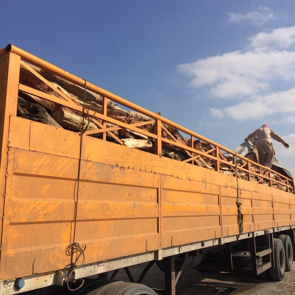 بالصور  ..  إيقاف شاحنة حطب محلي ومصادرة حمولتها بـ "ديراب"