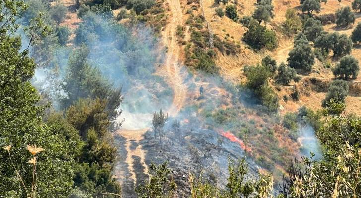 اندلاع حريق حرجي خلف مستشفى الإيمان الحكومي في عجلون