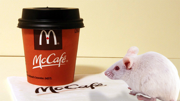 شاب يعثر على فأر ميت في كأس القهوة من مطعم "ماكدونالدز"