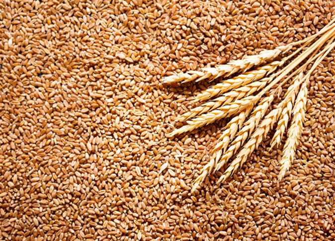 "الصناعة والتجارة" تطرح عطاءً لشراء 120 ألف طن من القمح