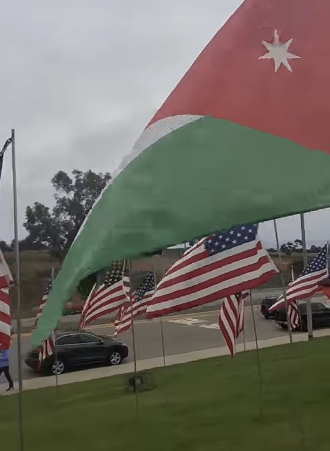 بالفيديو … اردنيه مقيمه في امريكا تبكي فرحا عند رؤية العلم الاردني