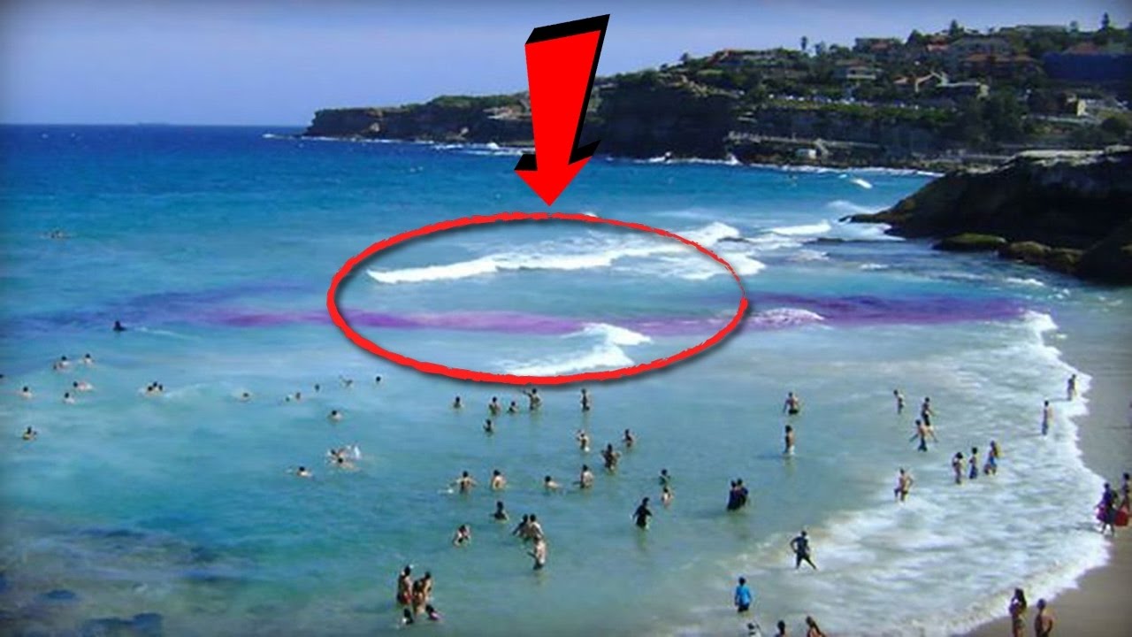 بالفيديو ..  عليك ان تهرب و تنجو بحياتك عند مشاهدة هذه الامواج على الشاطئ