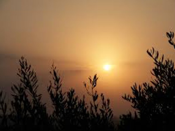 فيديو .. شروق الشمس دون شعاع ليلة 23 رمضان  ..  ورواد الفيسبوك: ليلة القدر  