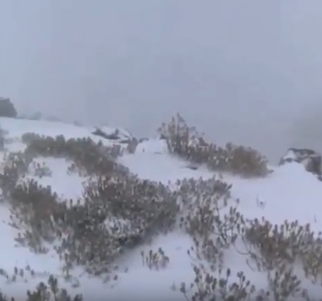 بالفيديو ..  السيول والثلوج تغمر عمان