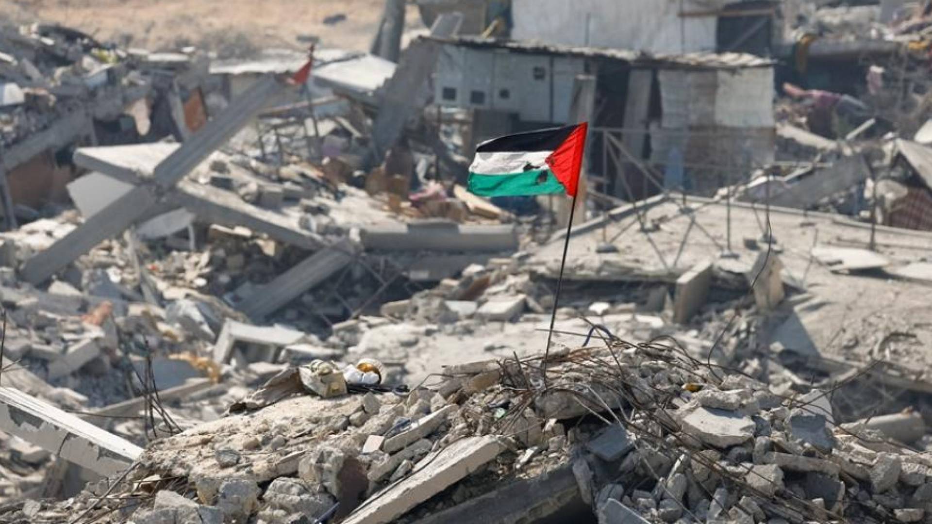 من هم أعضاء اللجنة الوطنية لإدارة قطاع غزة؟ - اسماء 