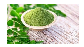 لمن يعاني من الأرق  .. تعرف على فوائد شرب المورينجا قبل النوم