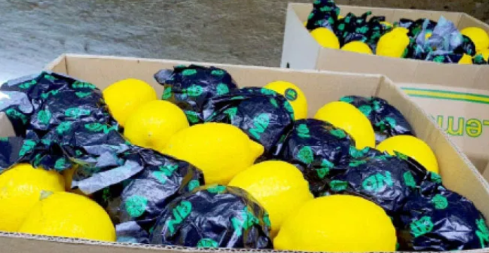 شحنة الليمون "الصينية" ..  تطورات تنذر بسحبها من الأسواق بعد ثبوت التلاعب ببلد المنشأ