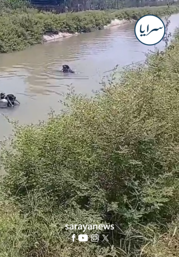 العثور على جثة شاب مصري داخل قناة الملك عبدالله في الشونة الشمالية  ..  فيديو 