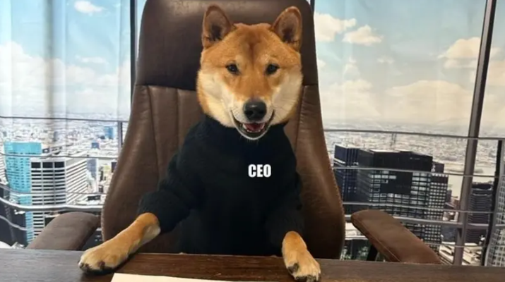 ماسك يغرد بصورة كلب ..  "الرئيس التنفيذي الجديد لتويتر رائع"