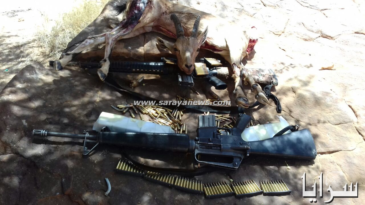 بالفيديو و الصور  ..   للمرة الثانية  ..  قتل جماعي للماعز البري "البدن"  بمنطقة المدورة 