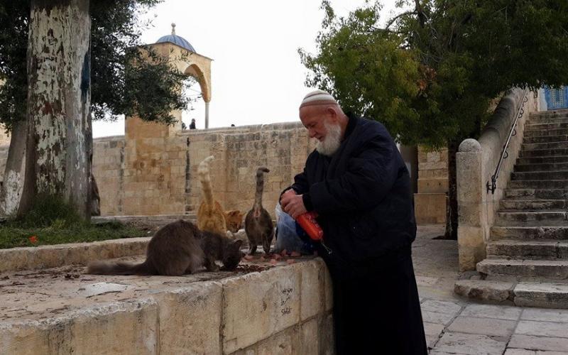 بالصور  .. من هو شيخ المرابطين الملقب بــ "أبو هريرات المسجد الأقصى" الذي ضجة مواقع التواصل بنبأ وفاته