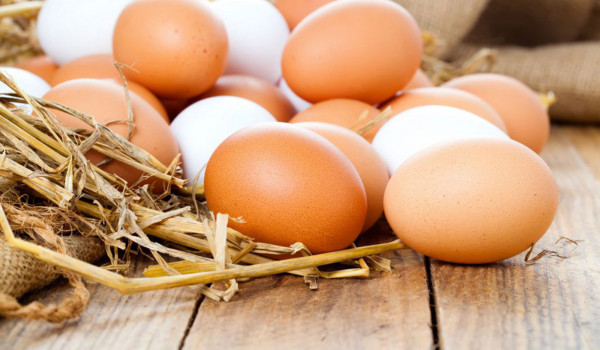 خبراء تغذية ألمان يدافعون عن البيض