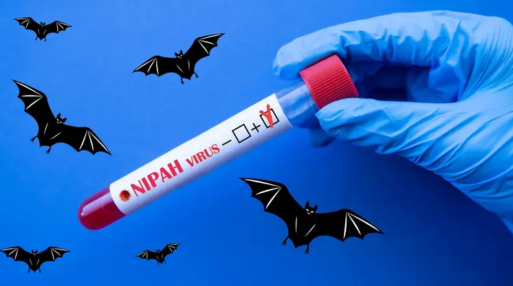 ذعر على جناح الخفاش ..  فيروس "نيباه" يعاود إرباك العالم