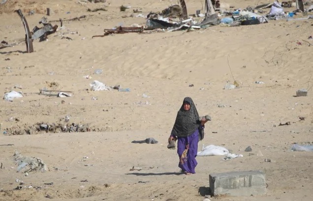 صحف عالمية: المنطقة الإنسانية بغزة مكتظة ونتنياهو يخاطر بمزيد من الإخفاقات